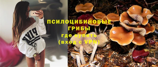 синтетический гашиш Дмитровск