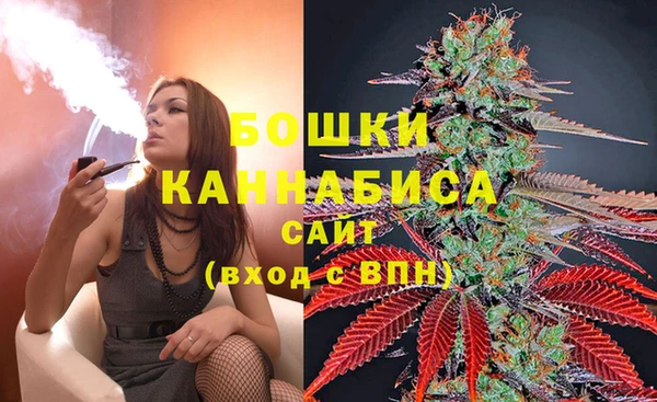 сатива Дмитриев